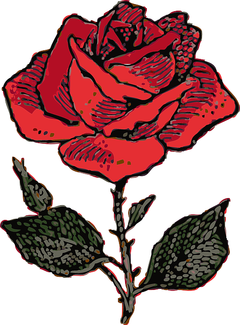 red rose 30487 640